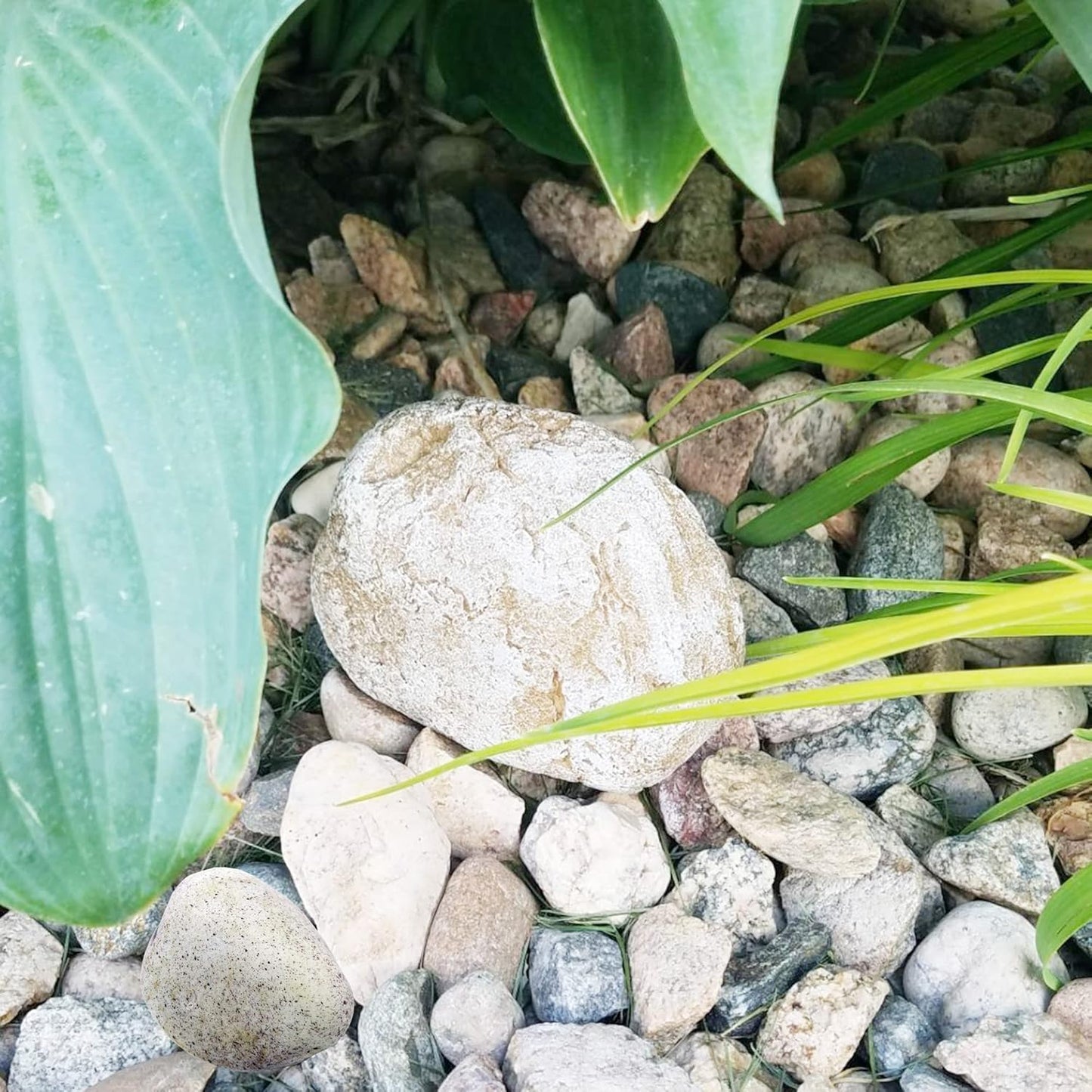 Fake Rock Key Hider Decoration Safe Holder For Outdoor Yard Garden Large Size Design Hide A House Spare Key Lock Box For Outside