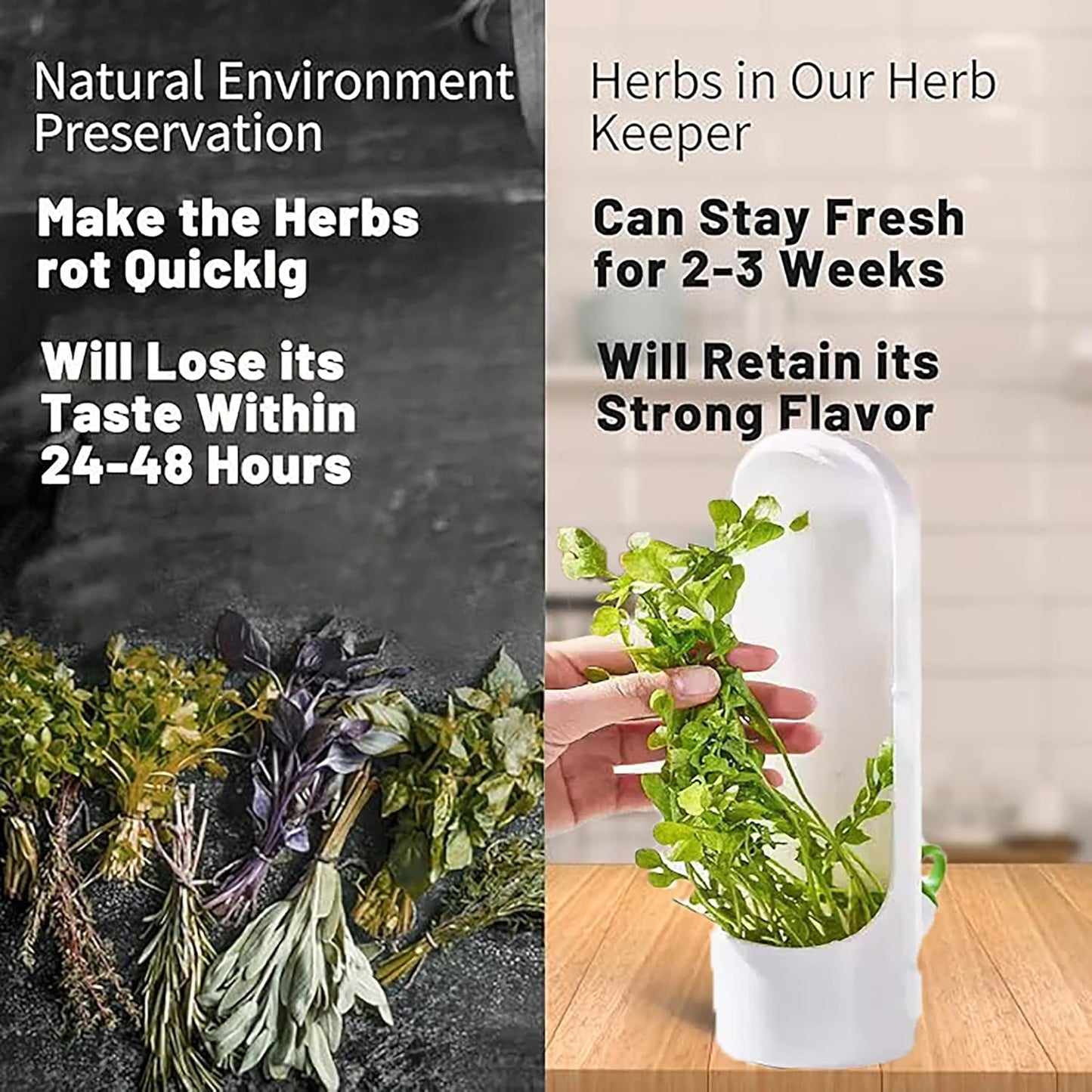 3Pack Herb Saver for Refrigerator for Cilantro, Parsley, Asparagus, Mint,Vegetable Preservation Containers, Keeps Greens Vegetables for 2-3 Weeks