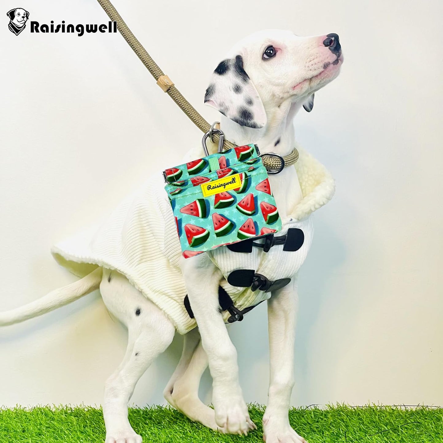 Dog Treat Pouch,Cotton Pocket Sized Training Holder, Hand Free Walking Funny Bag with Carabiner, Self-Closing Pet Feed Snack Reward, Behavior Aids for Puppy Travel or Outdoor Use(Watermelon)