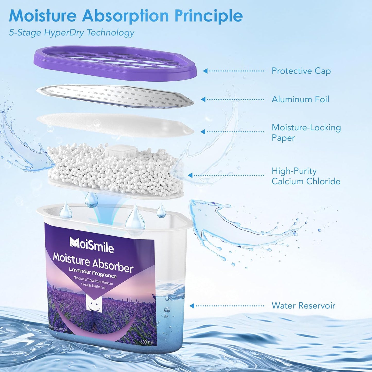 Lavender Fragrance Moisture Absorbers 6 Pack—Refillable 10.5 oz. Humidity Absorber Boxes for Closet, Bathroom, Car & Basement