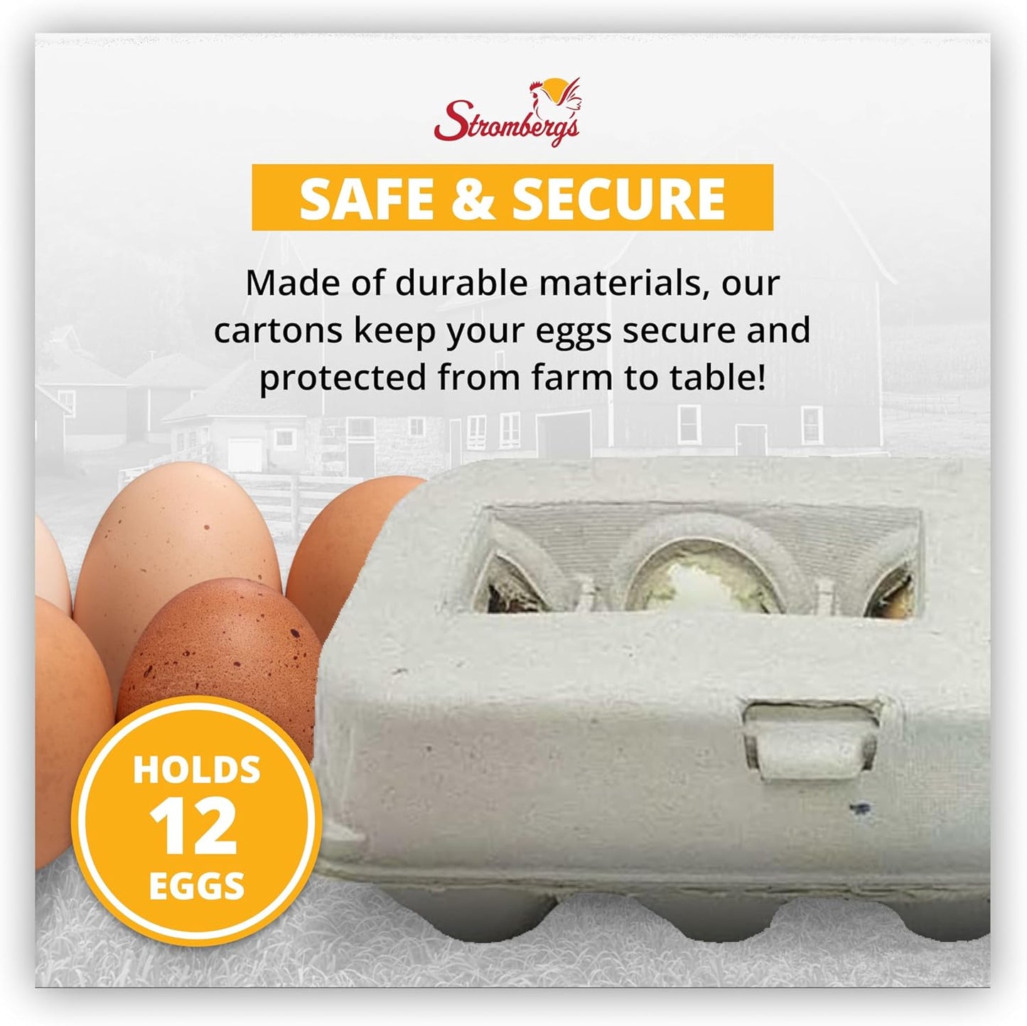 Stromberg's Jumbo Blank Egg Cartons, Bulk Pack for Jumbo Eggs, Perfect for Custom Branding, Safe & Secure Egg Storage, Convenient Stacking for Easy Transport and Storage, 200 Pack