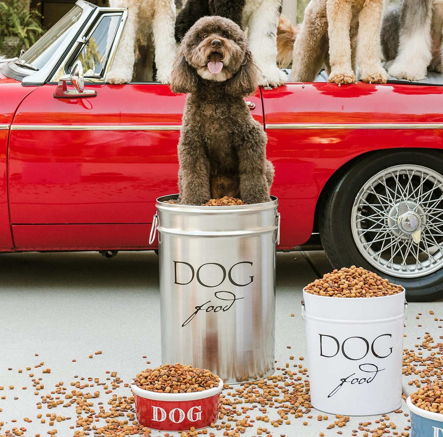 Harry Barker Pet Food Storage Collection, Classic Silver Food Storage - Large