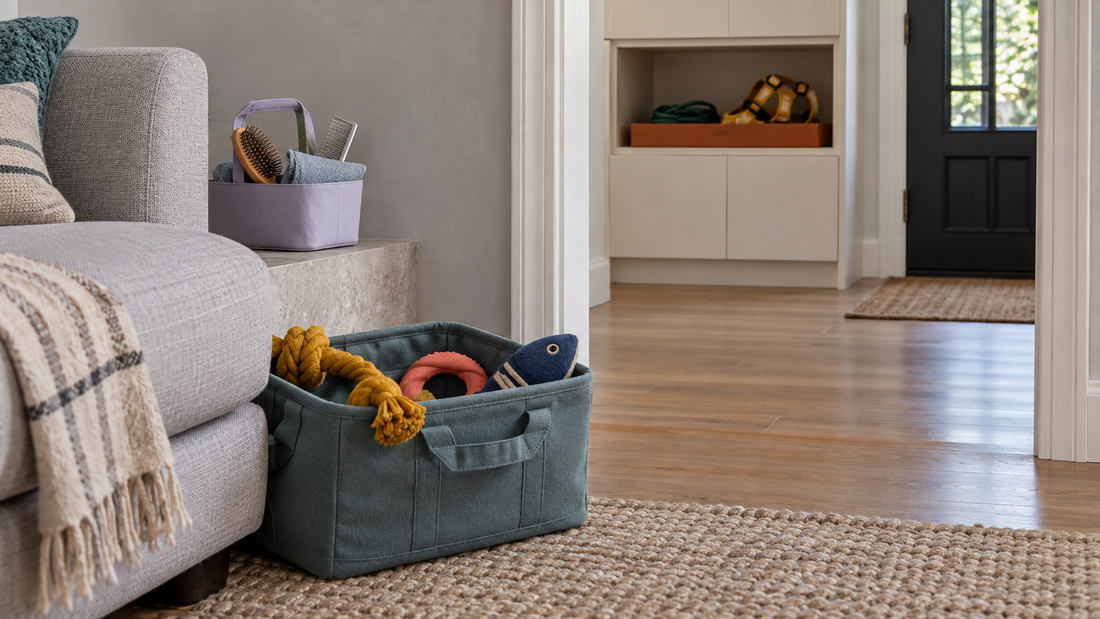 A toy basket and grooming caddy beside a living room sofa, with a leash and harness stored in the adjoining entryway.