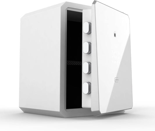 Fingerprint Password Safe Box with Key, Cabinets for Home Offcie,Lock Box,Security Box,Biometric safe,W-series 2.1Cubic feet BOFON