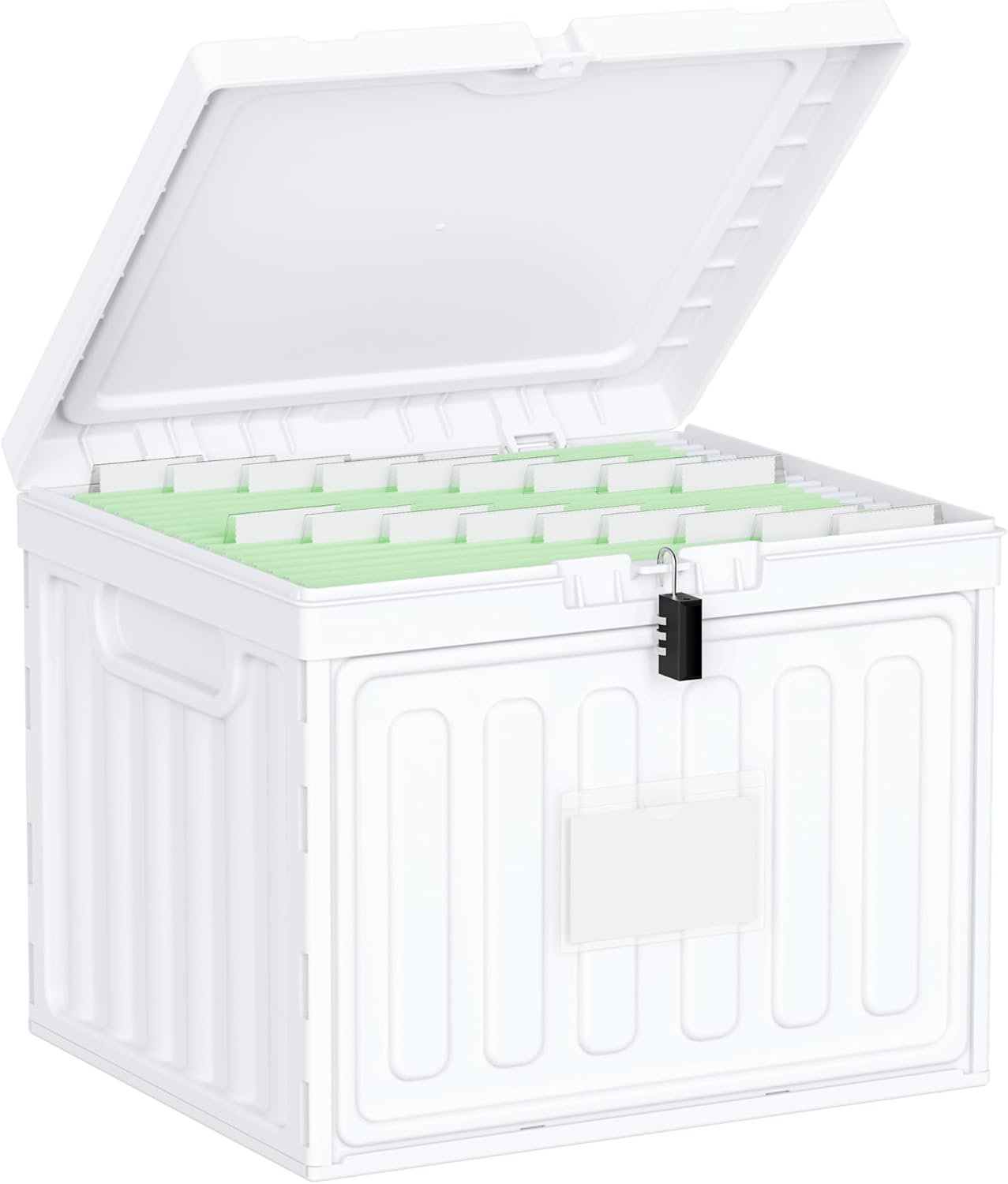 Oterri Plastic File Box with Lid for Letter Size File Folders, Hanging File Folder Box, File Organizer for File Cabinet, Home, Office,School(White, Large-1 Pack Without Folders)