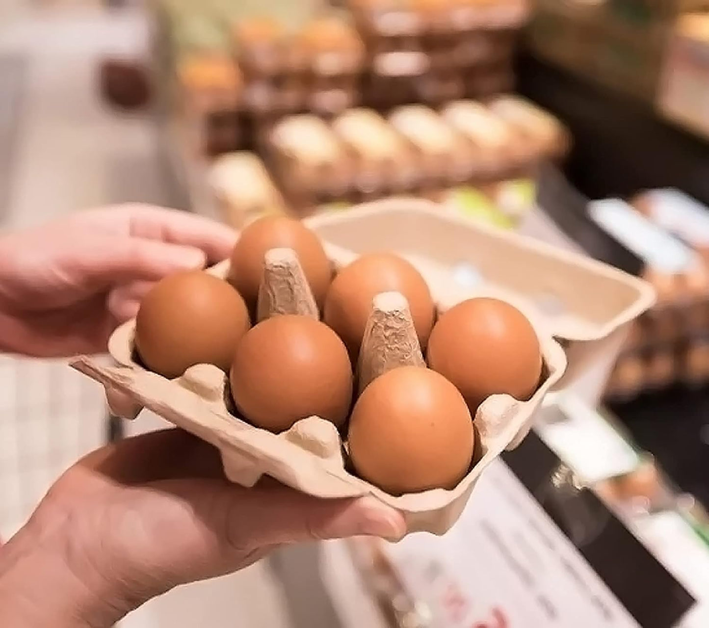 30 Pack Half Dozen Egg Cartons, Blank Natural Pulp Egg Carton Bulk 6 Count for Chicken Eggs or Duck Eggs, Reusable, Protects, Egg Storage Containers for Home Kitchen and Farmhouse (30 PCS 6 Count)
