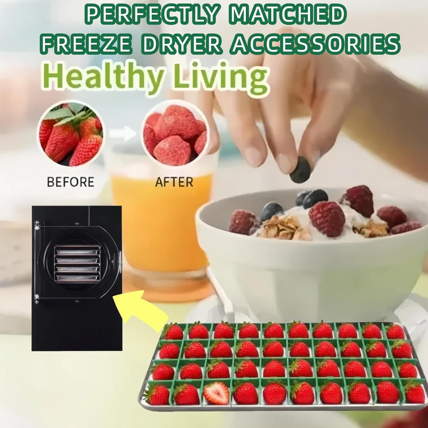 5 Sets Medium Freeze Dryer Tray Dividers Compatible with Harvest Right Trays, Freeze Dried Strawberrie Candy Fruit Dog Cat Treats Tray Dividers, Ideal Accessories for Freeze Dryer Owner