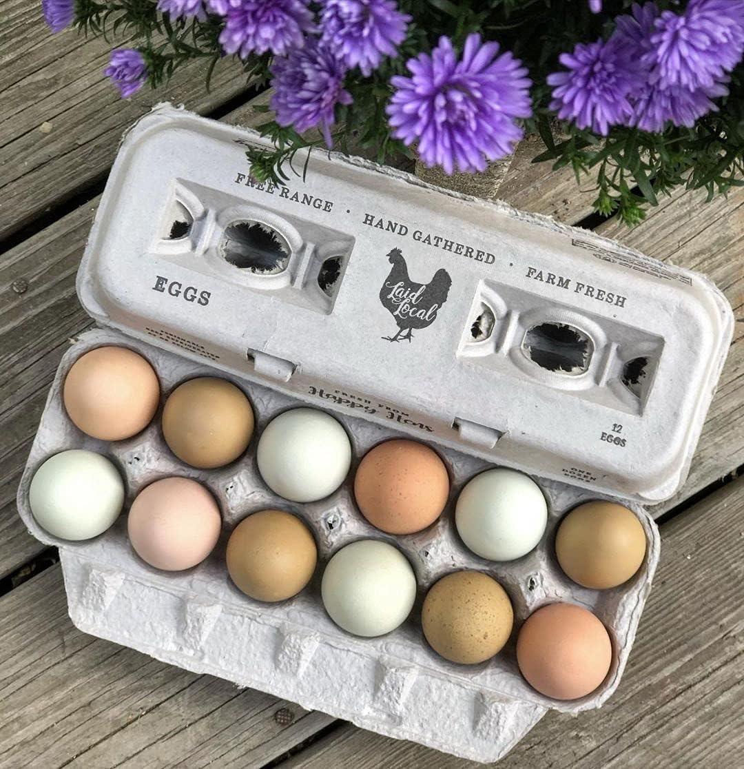 250 Egg Cartons- Bulk Value Bundle- Adorable Printed Design for Farm Fresh Eggs, Recycled Paper Cardboard, Sturdy & Reusable, Holds up to XL Chicken Eggs