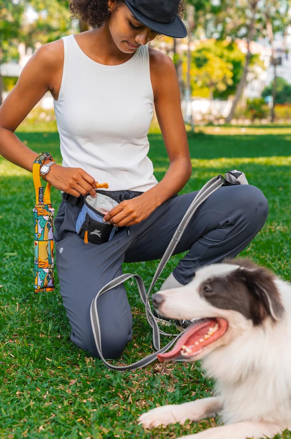 OllyDog Goodie Treat Bag, Dog Treat Pouch, Waist Belt Clip for Hands-Free Training, Magnetic Closure, Dog Training and Behavior Aids, Three Ways to Wear (Blue Heron)