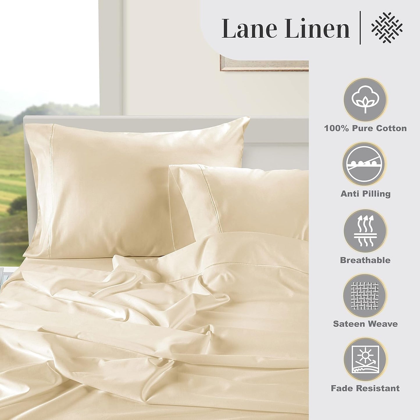 LANE LINEN Queen Ivory Pillow Cases Set of 2 100% Egyptian Cotton 1000 Thread Count Sateen Perfect for Home Hotels & Hospital Use Standard Size