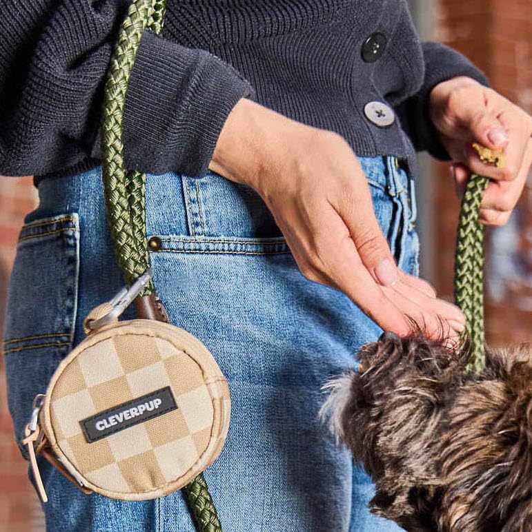 Snackpack Double Insulated Dog Treat Pouch - Holds 1.5 Cups - Dog Training and Walks Snack Bag, Two Pockets for Dry or Wet Treats, Attaches to Leash, Belt, or Bag - Checkerboard