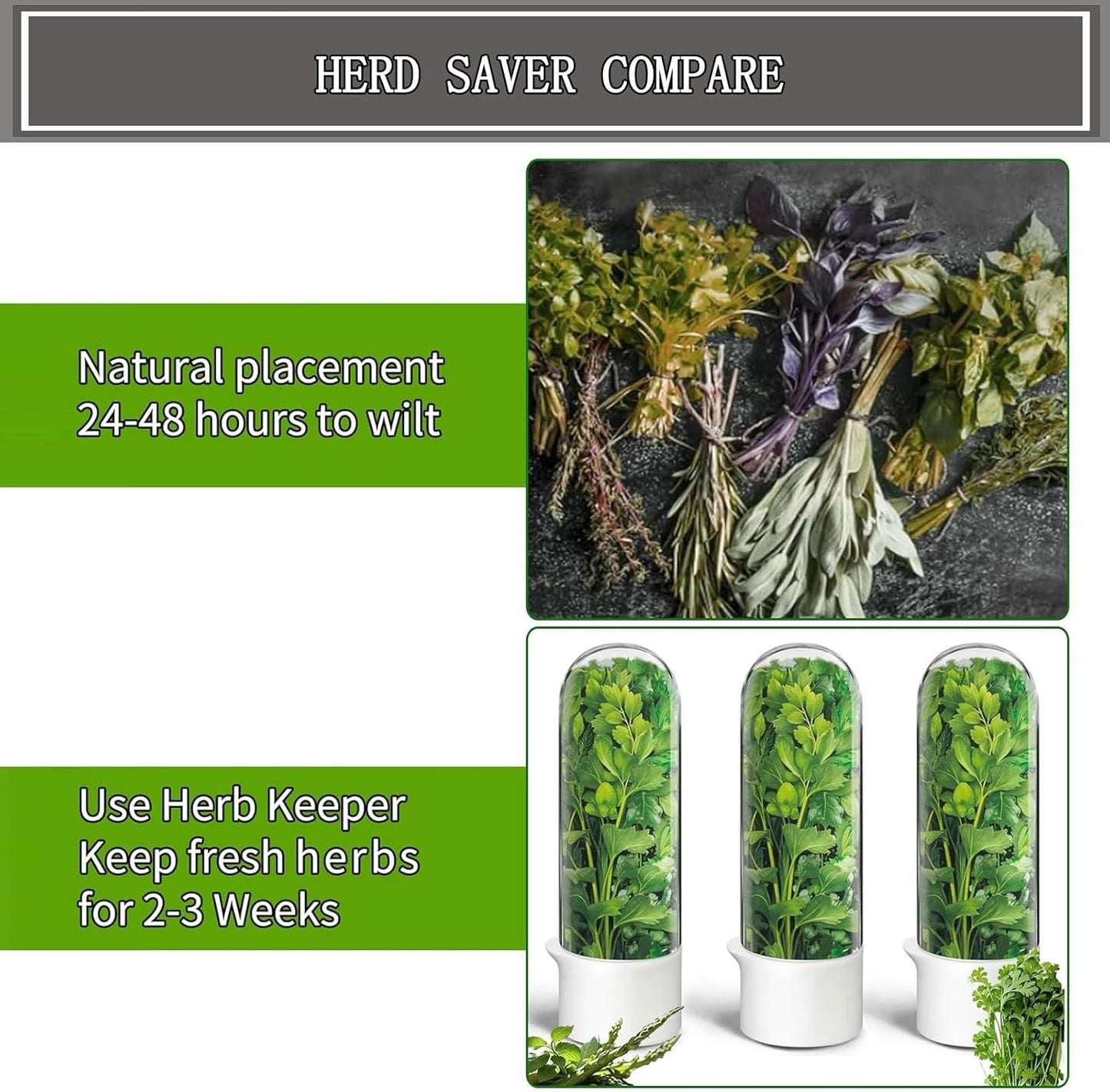 Herb Saver for Refrigerator, Fresh Herbs Lettuce Keeper for Refrigerator, Cilantro Container for Fridge Fres Parsley Mint Leaves Fresh Herb Keeper, Refrigerato Storage for Fresh for 2-3 Weeks