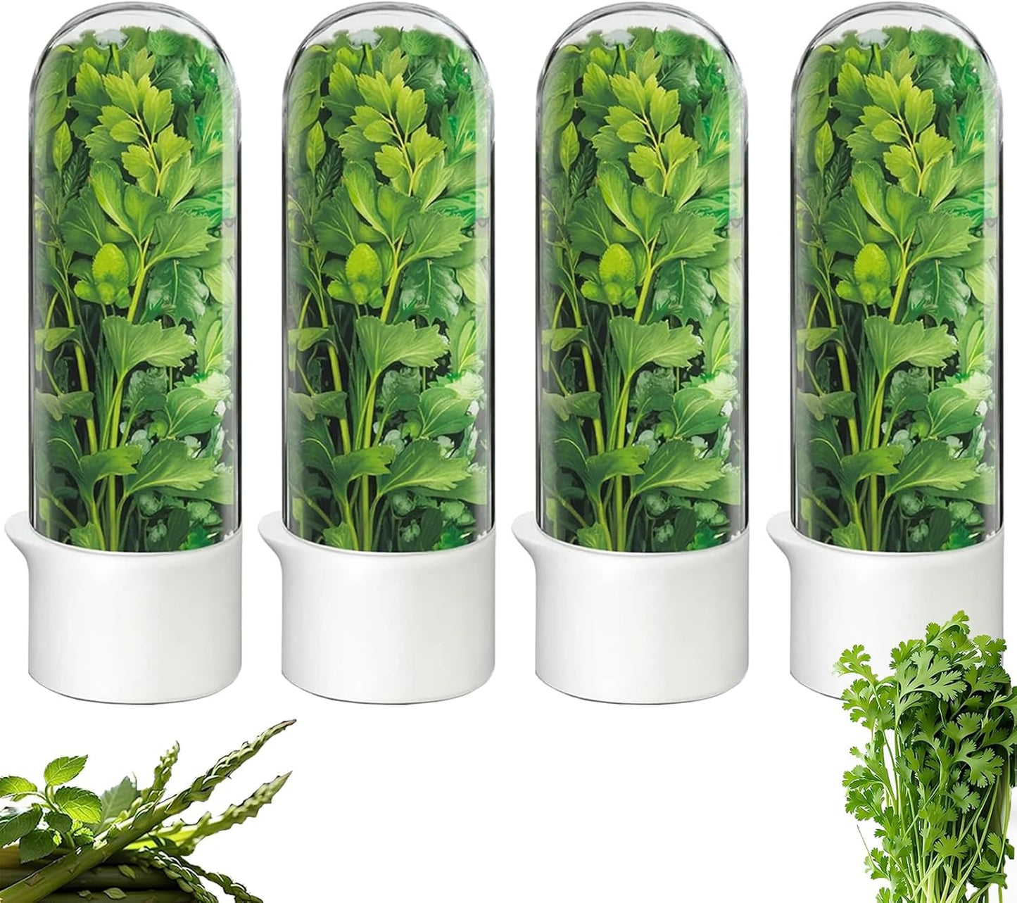Herb Saver for Refrigerator, Fresh Herbs Lettuce Keeper for Refrigerator, Cilantro Container for Fridge Fres Parsley Mint Leaves Fresh Herb Keeper, Refrigerato Storage for Fresh for 2-3 Weeks