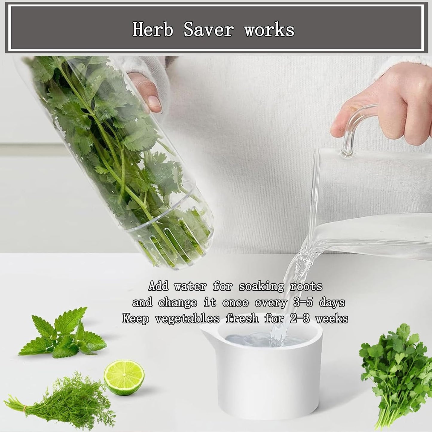 Herb Saver, Herb Keeper for Refrigerator, Cilantro Container for Fridge, Fresh Herbs Lettuce Vegetable Preservation Bottle Keeper Parsley Mint Refrigerator Storage for Fresh for 2-3 Weeks