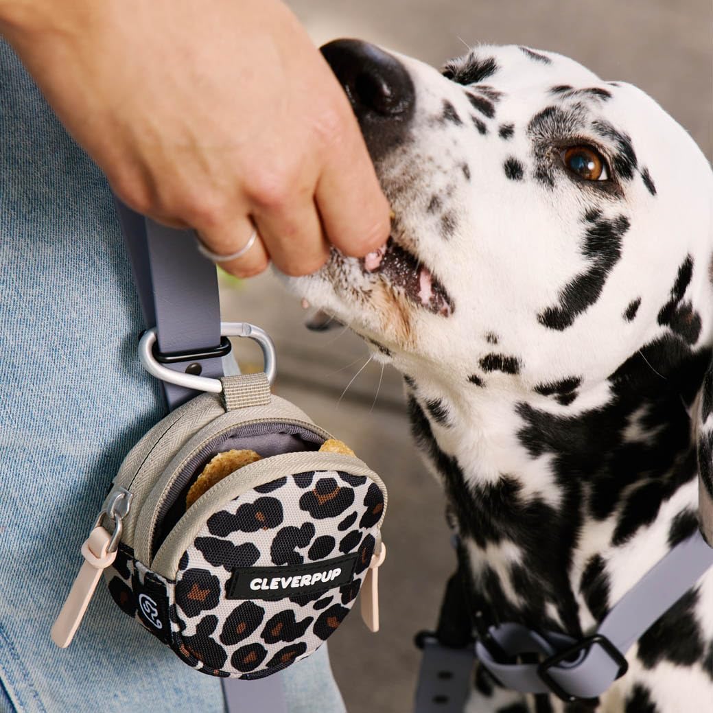 Snackpack Double Insulated Dog Treat Pouch - Holds 1.5 Cups - Dog Training and Walks Snack Bag, Two Pockets for Dry or Wet Treats, Attaches to Leash, Belt, or Bag - Leopard