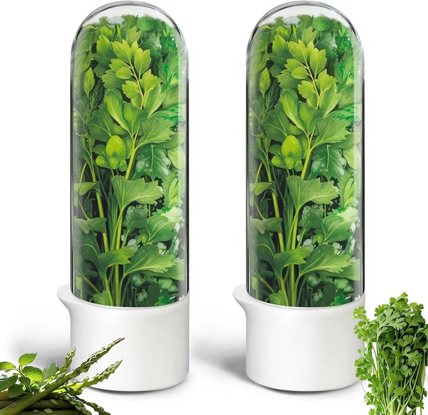 Herb Saver, Herb Keeper for Refrigerator, Cilantro Container for Fridge, Fresh Herbs Lettuce Vegetable Preservation Bottle Keeper Parsley Mint Refrigerator Storage for Fresh for 2-3 Weeks