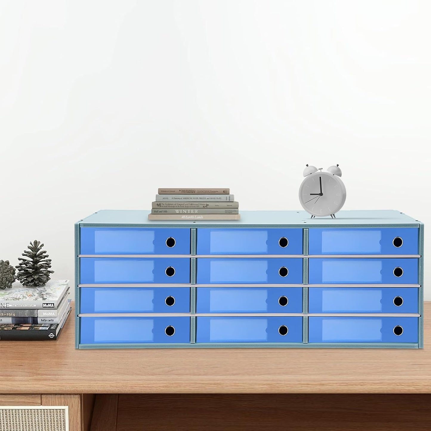 Mail Sorter Organizer, 12 Compartments Mailbox for Classroom, Desktop File Organizer with Adjustable Shelves, for Office Home Classroom, PVC, Blue