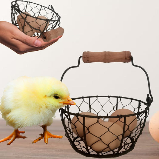 TAIANLE.Small Wire Egg Collecting Basket with Handle,Mini Metal Easter Quail Hunt Egg Basket for Gathering Fresh Egg,Round Farmhouse Vintage Countertop Holder,2 PCS
