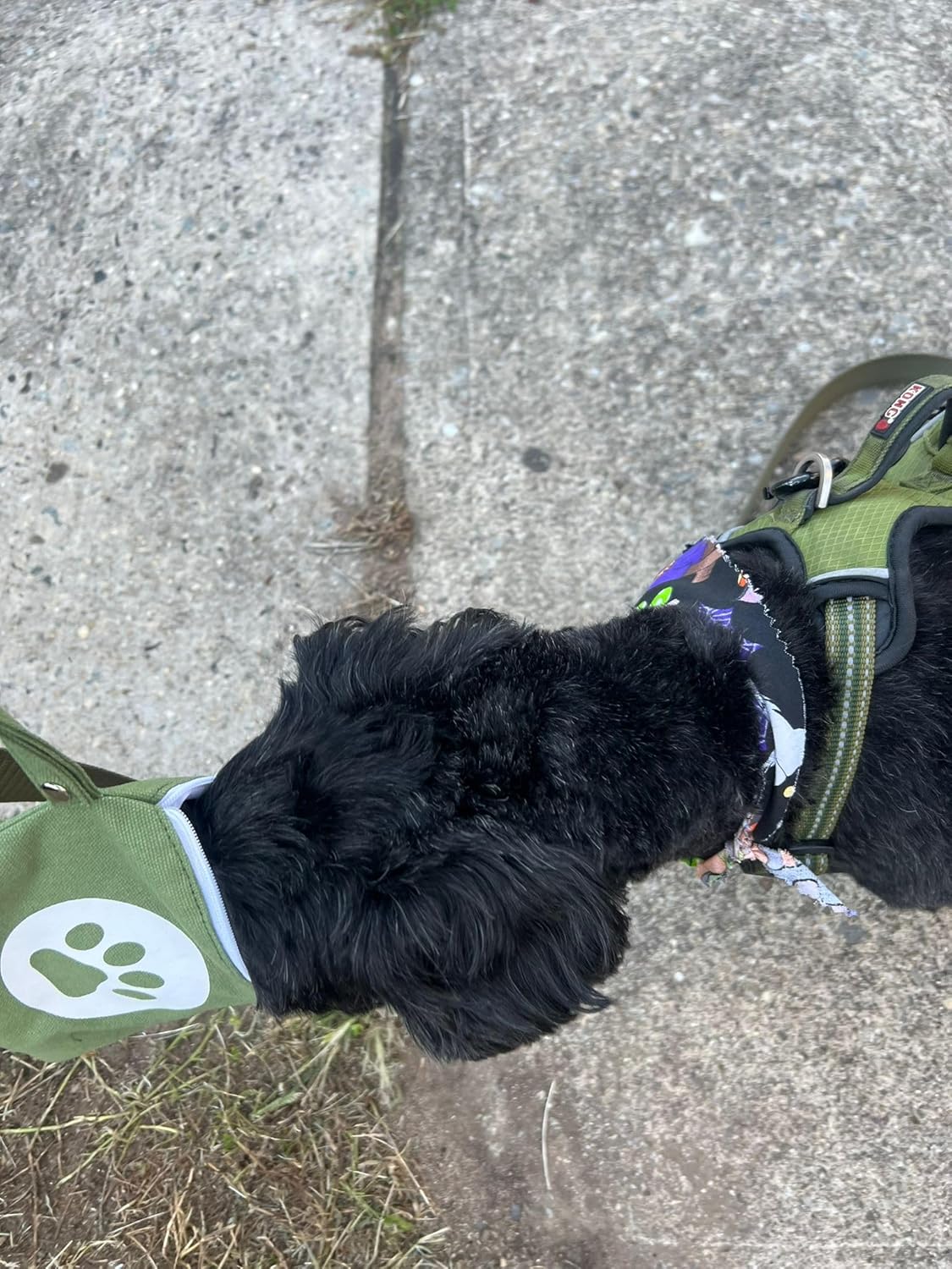 Small Green Dog Treat Pouch for Training for pet parents- Portable Puppy snack bag for treat for walking or hiking with zipper closure and waterproof lining and strap to waist belt loop or leash