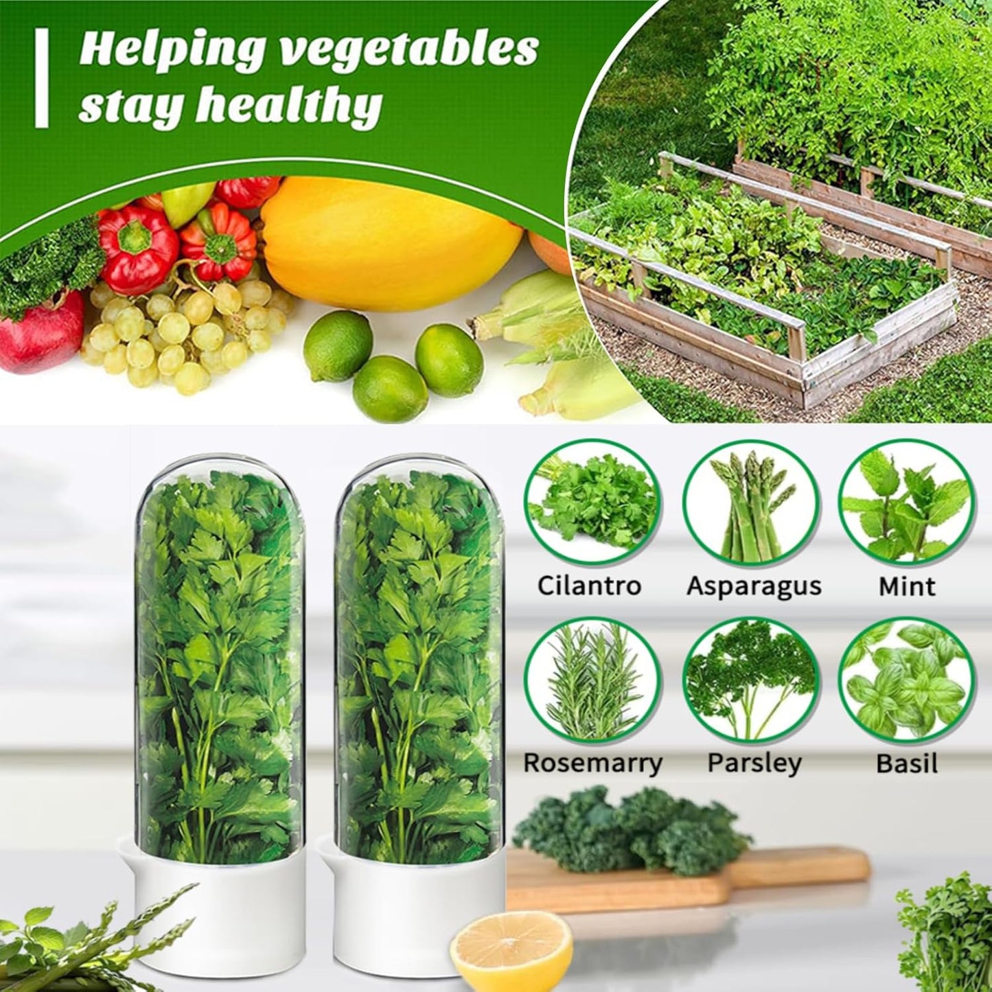 Cilantro Container for Fridge, Herb Saver for Refrigerator - Fresh Herb Keeper for Cilantro, Basil, Asparagus, Parsley, Keeps Greens Vegetables for 2-3 Weeks