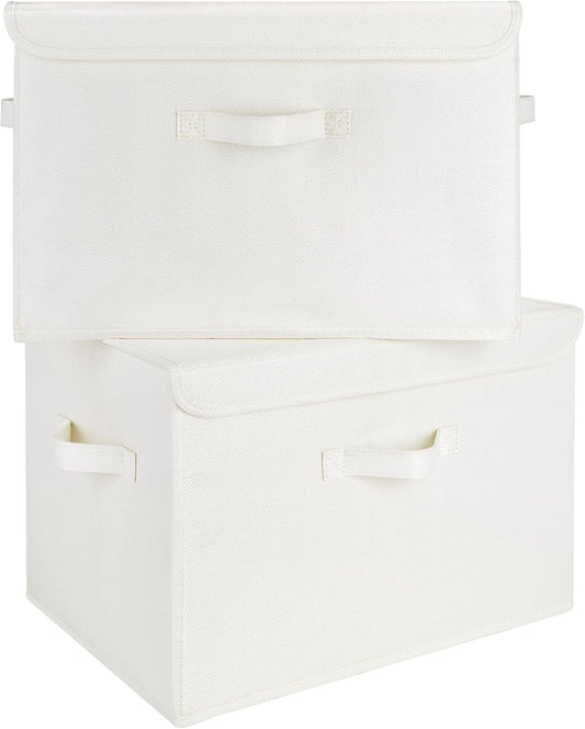GRANNY SAYS Storage Boxes with Lids, Large Storage Bins with Lids, Decorative Box, Shelves Baskets, Clothes Storage and Organization, 2-Pack