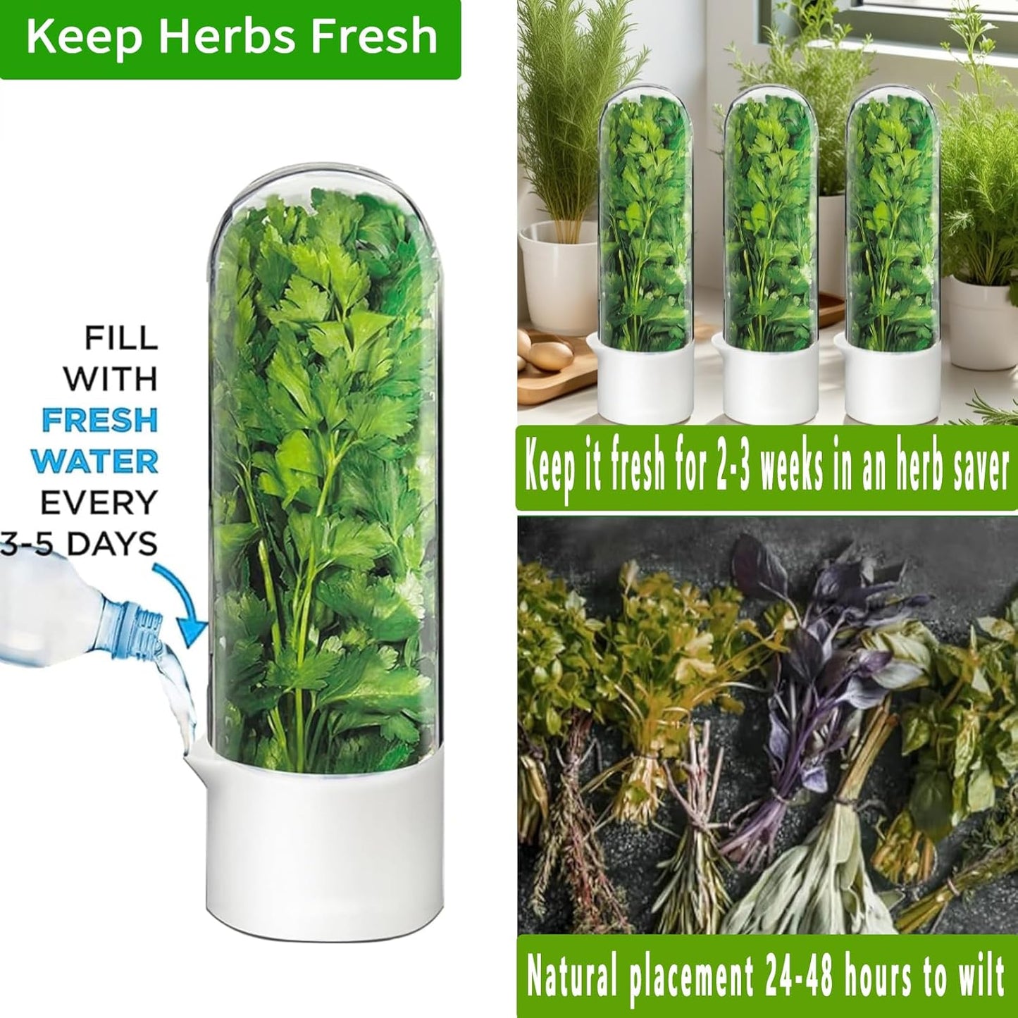 Cilantro Container for Fridge, Herb Saver for Refrigerator - Fresh Herb Keeper for Cilantro, Basil, Asparagus, Parsley, Keeps Greens Vegetables for 2-3 Weeks