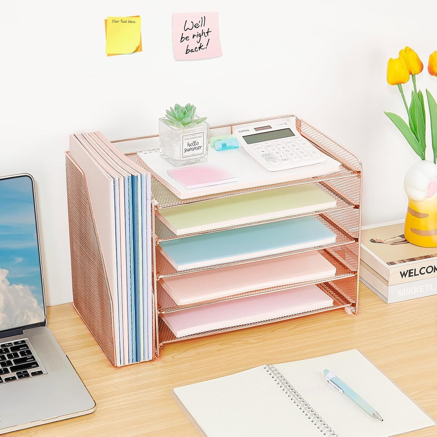 OPNICE 5-Tier Paper Organizer with Magazine Holder, Desk Organizers and Accessories, Office Desk Accessories & Workspace Organizers, Desktop File Organizer for Office Supplies Storage, Rose Gold