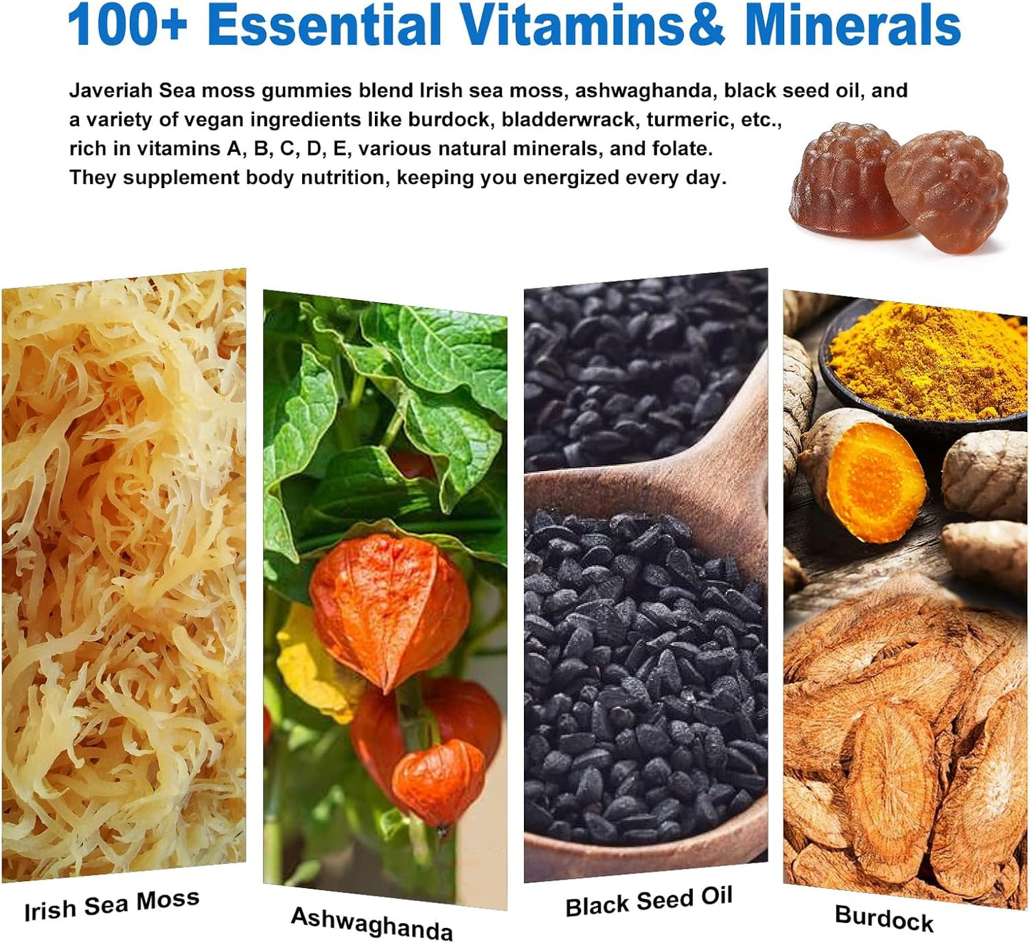 Vegan Ashwagandha Sea Moss Gummies - Black Seed Oil, Vitamin C&D for Immune Support, Digestive, Antioxidant 13 in 1 Bundle, Sea Moss Chlorophyll Advanced Strength Formula 60 Gummies