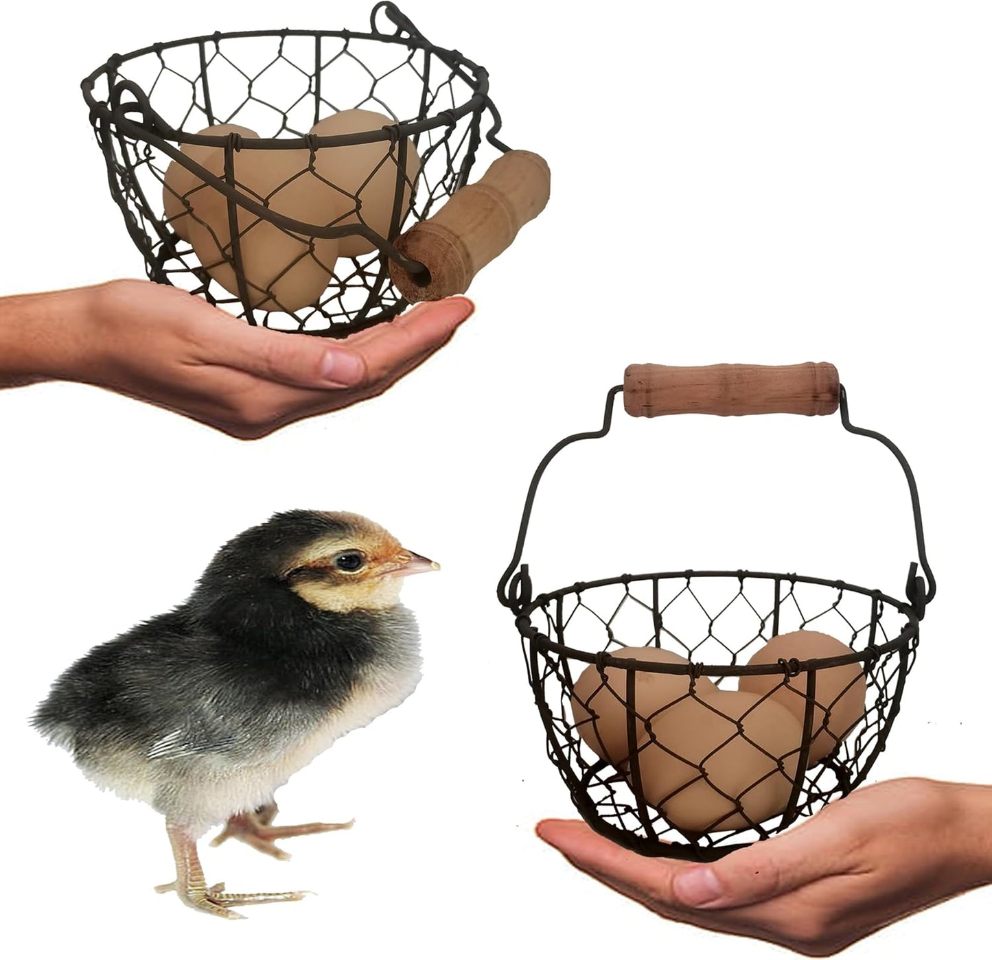 TAIANLE.Small Wire Egg Collecting Basket with Handle,Mini Metal Easter Quail Hunt Egg Basket for Gathering Fresh Egg,Round Farmhouse Vintage Countertop Holder,2 PCS
