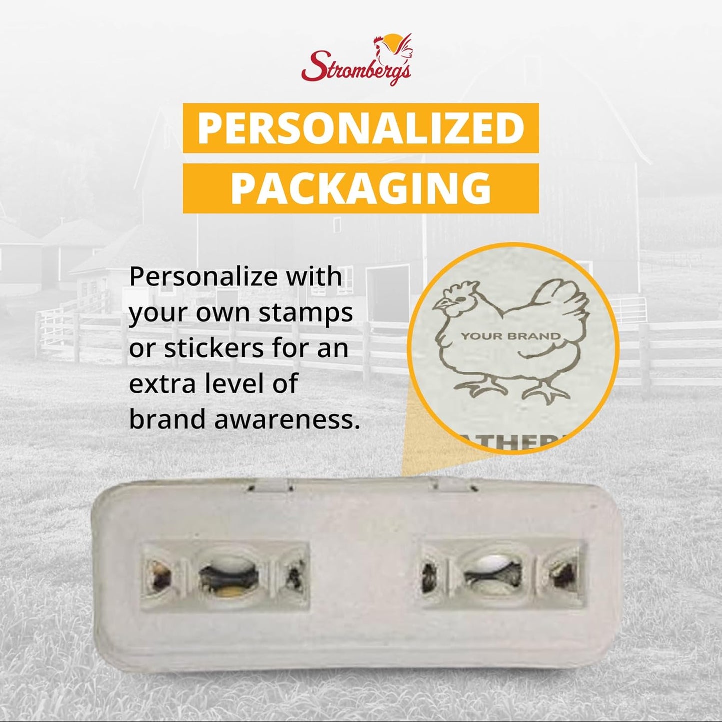 Stromberg's Large Blank Egg Cartons, Bulk Pack for Large Eggs, Perfect for Custom Branding, Safe & Secure Egg Storage, Convenient Stacking for Easy Transport, 125 Pack