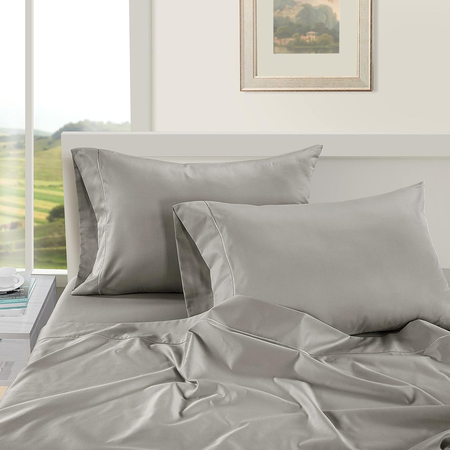 LANE LINEN Pillows Queen Size Set of 2 Soft 100% Egyptian Cotton Cool & Smooth 1000 Thread Count Pillow Cases - Silver