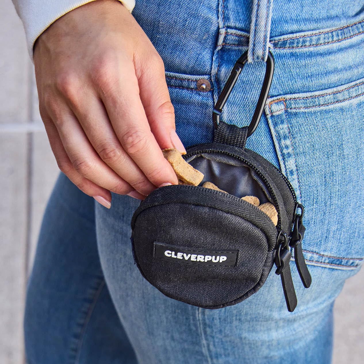 Snackpack Double Insulated Dog Treat Pouch - Holds 1.5 Cups - Dog Training and Walks Snack Bag, Two Pockets for Dry or Wet Treats, Attaches to Leash, Belt, or Bag - Graphite