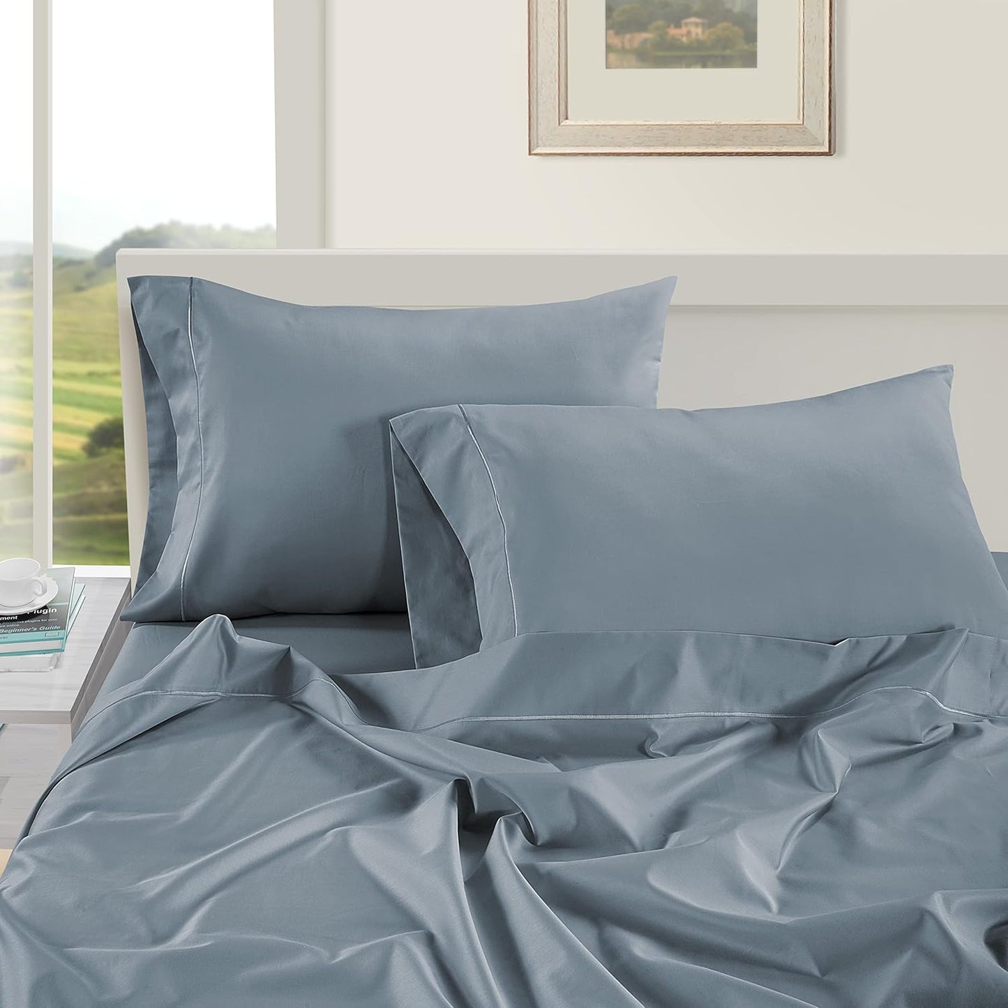 LANE LINEN Pillows Queen Size Set of 2 Soft 100% Egyptian Cotton Cool & Smooth 1000 Thread Count Pillow Cases - French Blue