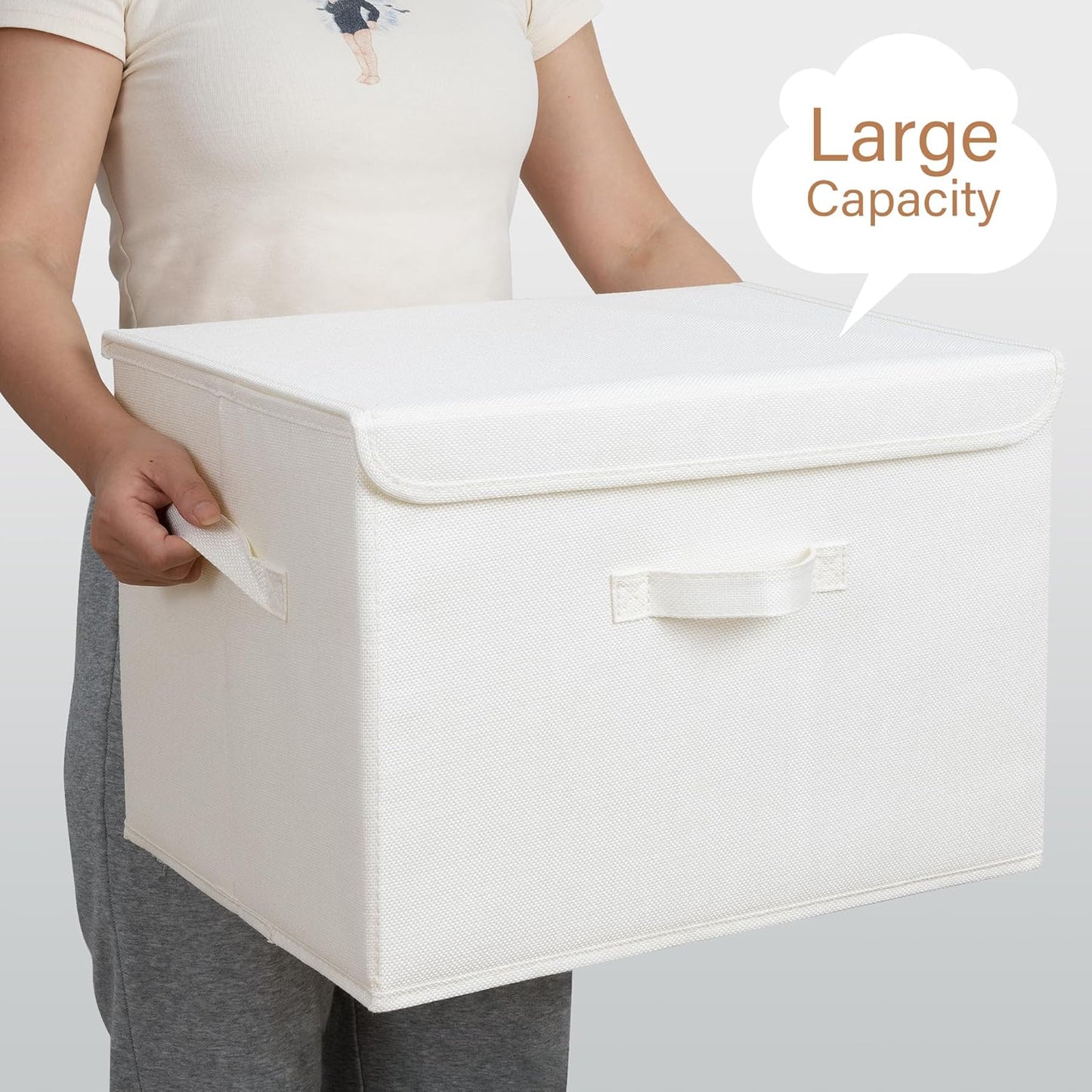 GRANNY SAYS Storage Boxes with Lids, Large Storage Bins with Lids, Decorative Box, Shelves Baskets, Clothes Storage and Organization, 2-Pack