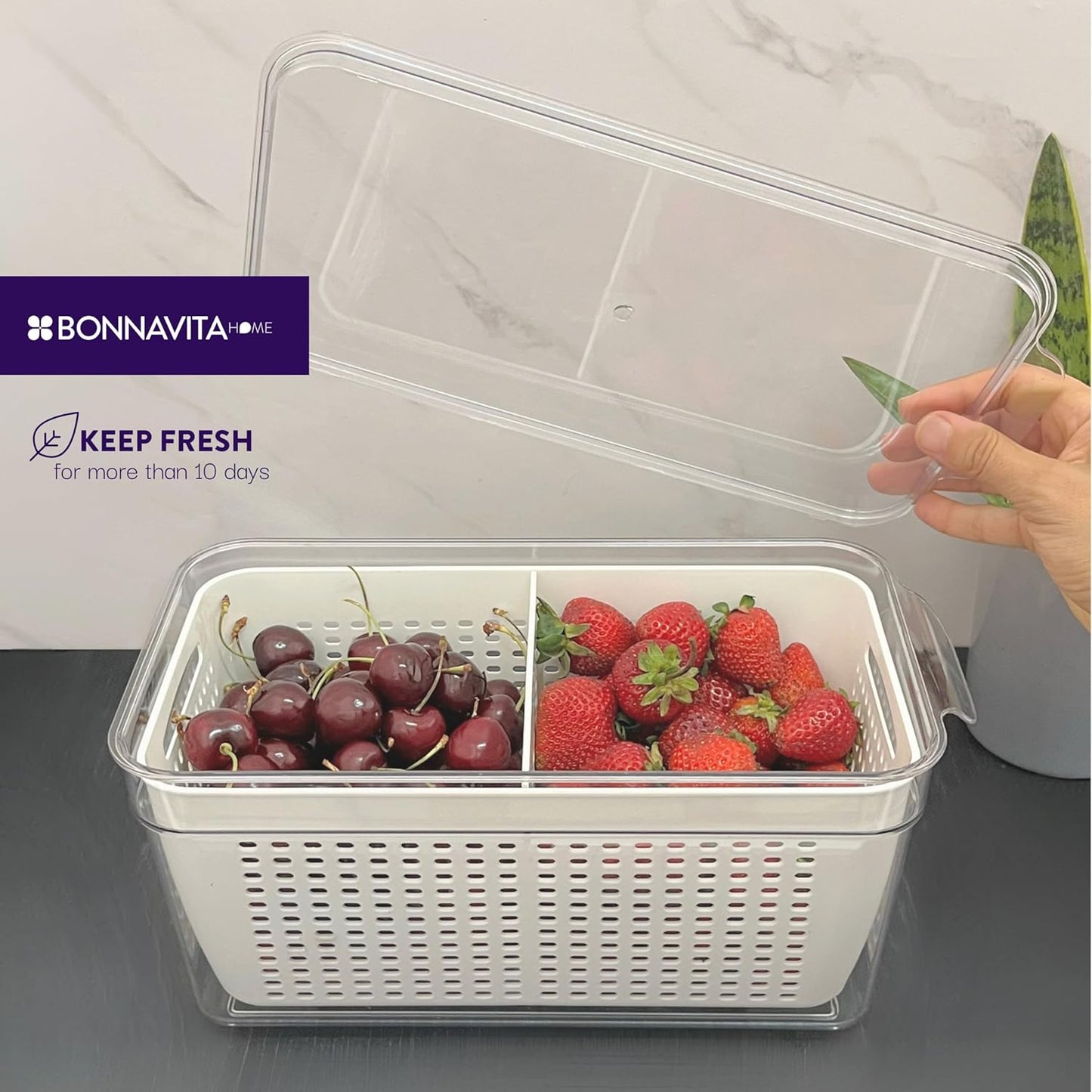 Clear Stackable Storage Containers with Lids BPA-Free Organizer Bins for Refrigerator Pantry Fridge Drawer with Colander and Dividers for Kitchen Food Preservation and Home Organization BPA Free
