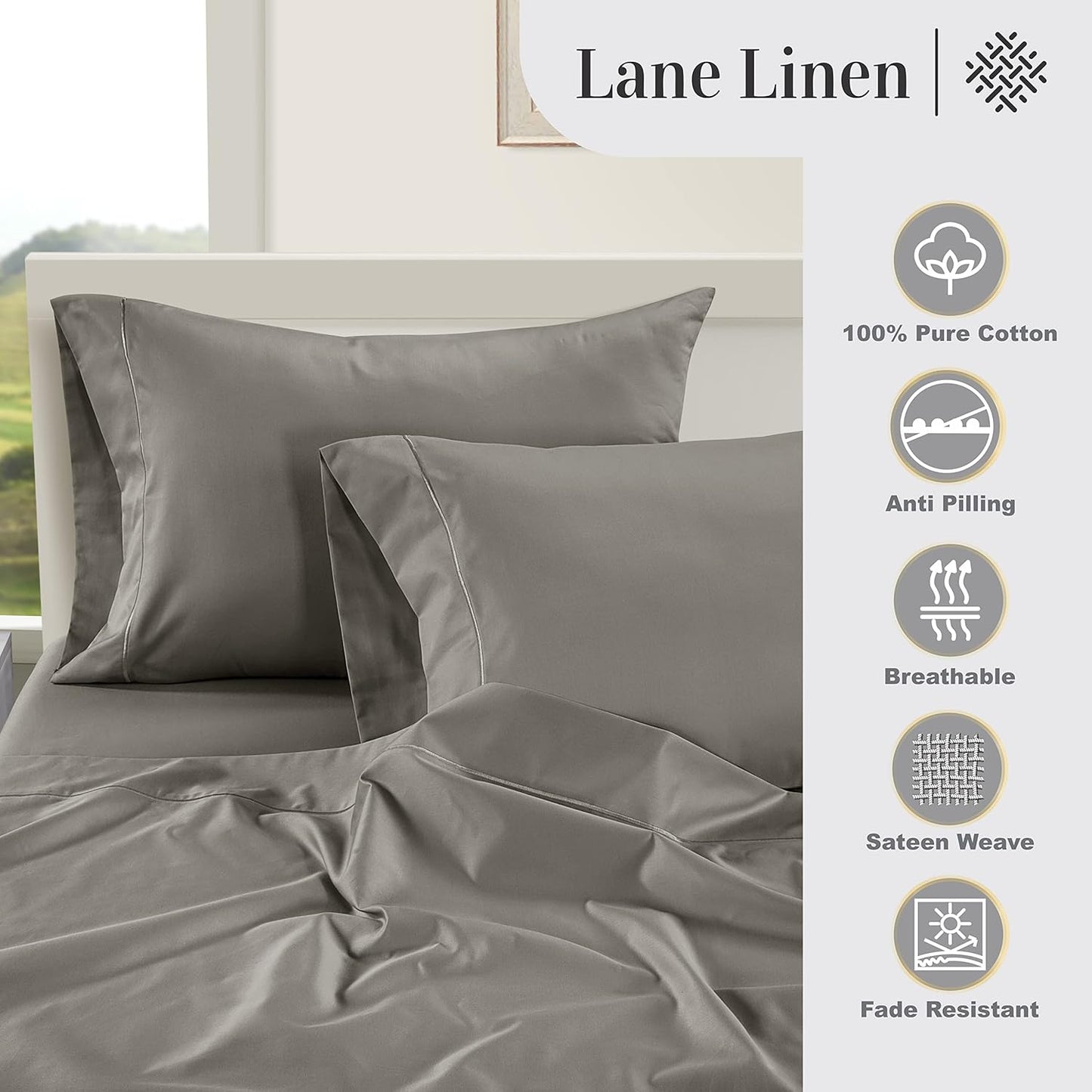 LANE LINEN Pillows Queen Size Set of 2 Soft 100% Egyptian Cotton Cool & Smooth 1000 Thread Count Pillow Cases - Charcoal