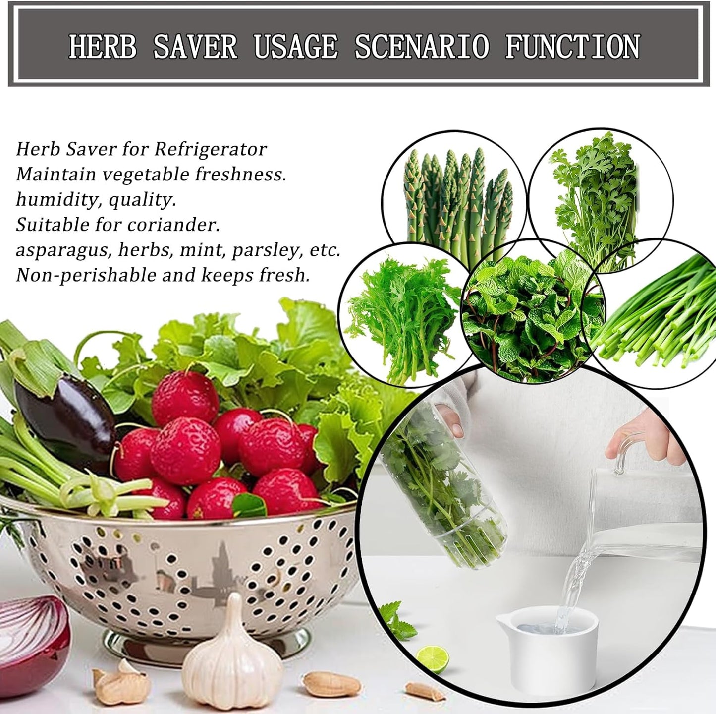 Herb Saver for Refrigerator, Fresh Herbs Lettuce Keeper for Refrigerator, Cilantro Container for Fridge Fres Parsley Mint Leaves Fresh Herb Keeper, Refrigerato Storage for Fresh for 2-3 Weeks
