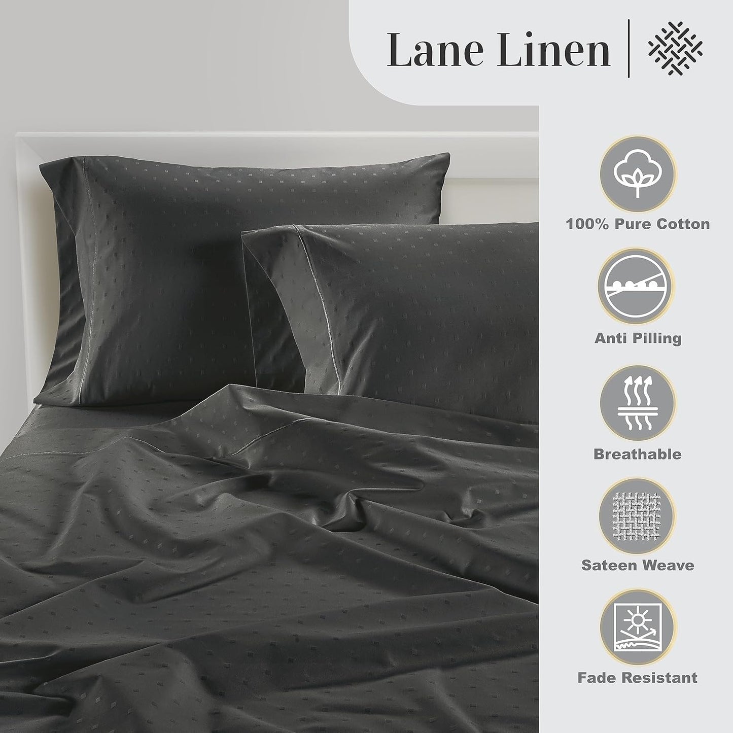 LANE LINEN Pillows Queen Size Set of 2, Soft 100% Egyptian Cotton, Cool & Smooth 1000 Thread Count Pillow Cases - Swiss Dot - Charcoal