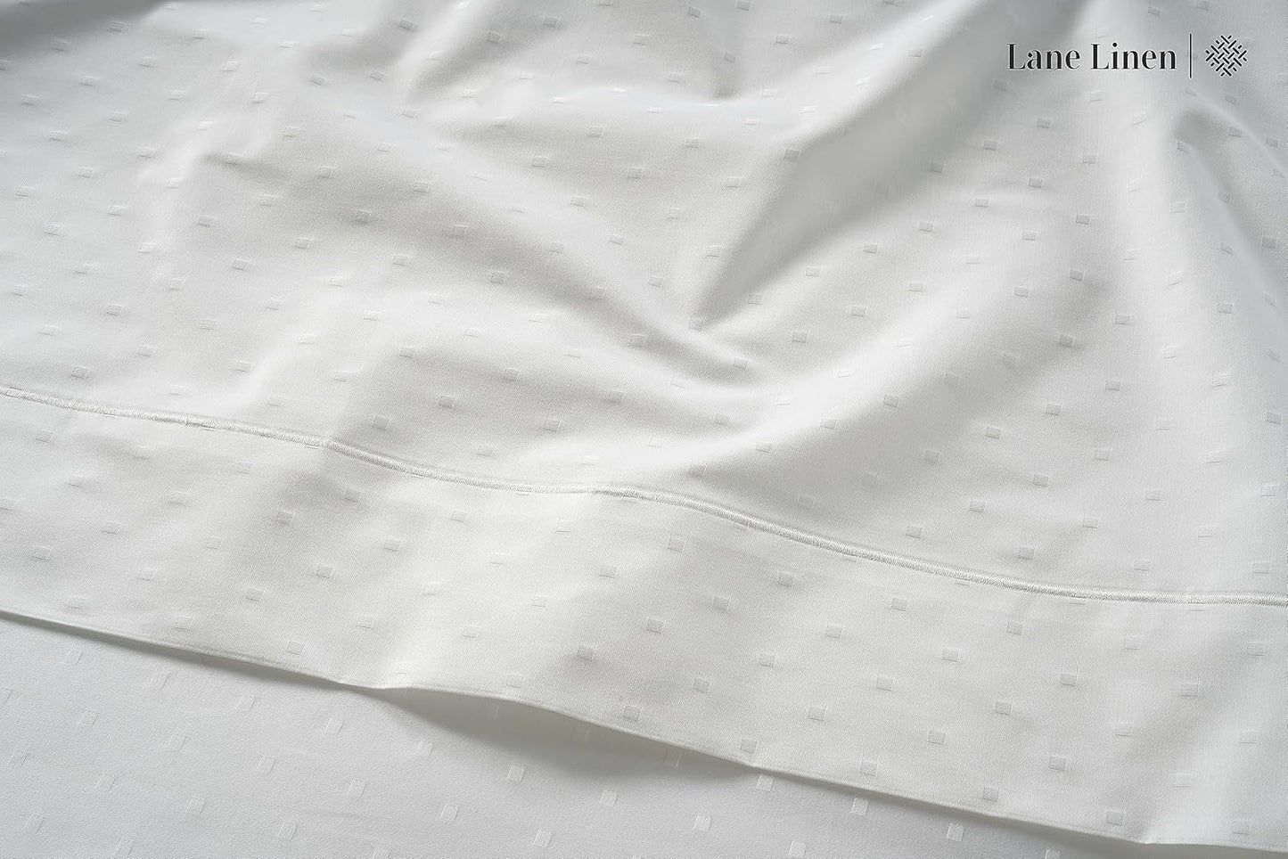 LANE LINEN Pillows Queen Size Set of 2, Soft 100% Egyptian Cotton, Cool & Smooth 1000 Thread Count Pillow Cases - Swiss Dot - White